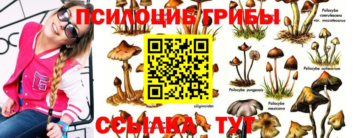 Каменск-Уральский  Псилоцибиновые грибы GOLDEN TEACHER  Галлюциногенные грибы Cubensis  как найти закладки  Вход с VPN 