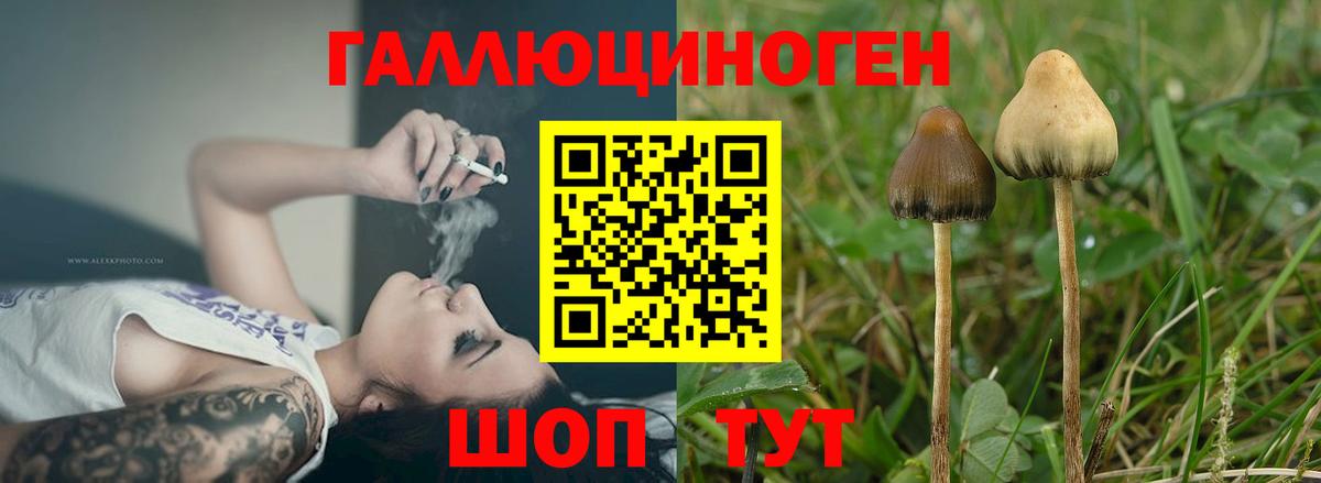 Галлюциногенные грибы ЛСД Каменск-Уральский